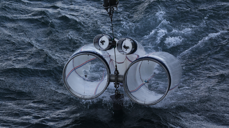The ship also tows a plankton net at each location. Called a “bongo net” because it resembles a drum set, it collects plankton — tiny animals like fish larvae and krill that live in the water — which are too small to get caught in the trawl net. Plankton are an important source of food for many fish and whales, so plankton samples tell scientists about what food is available in the area. 