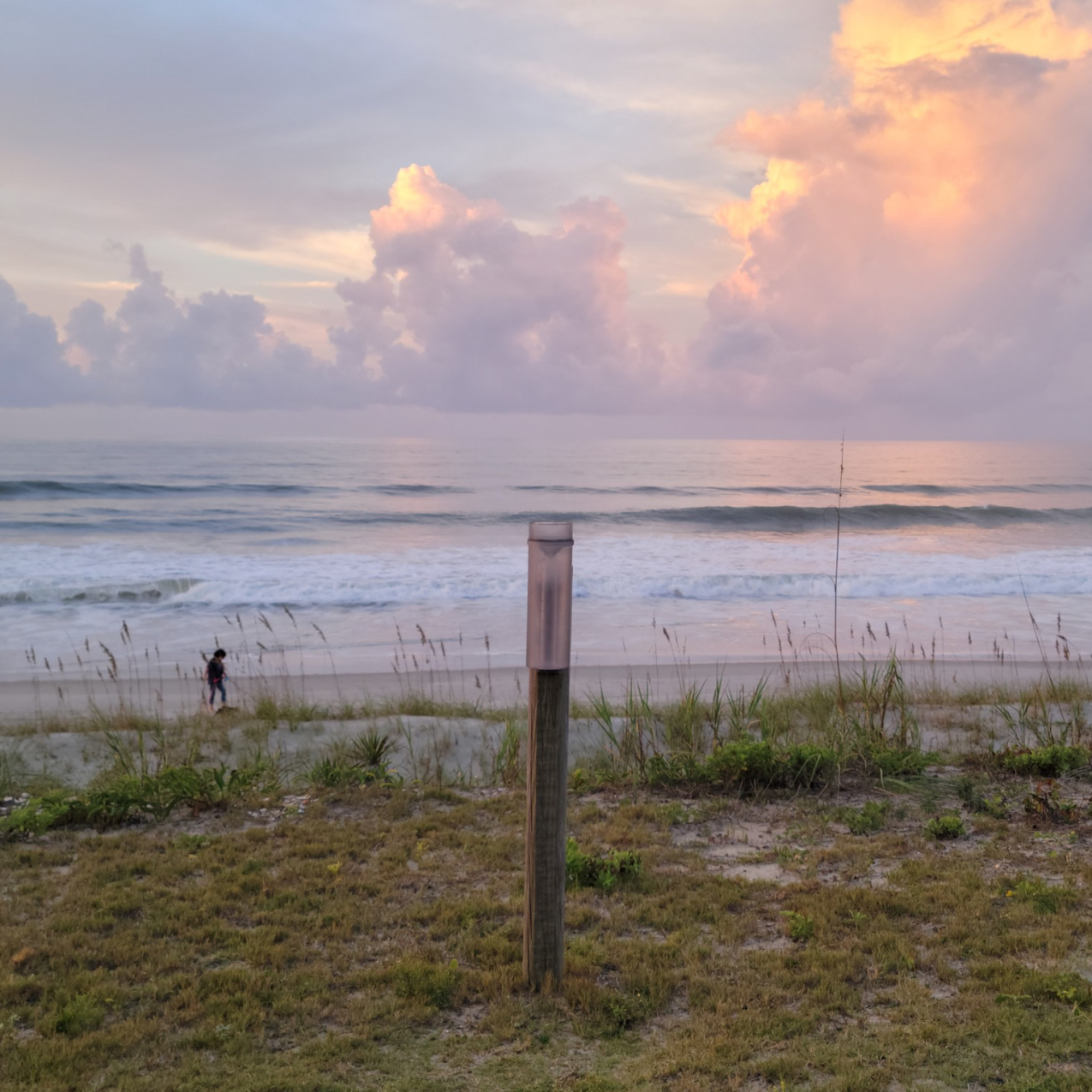 A plastic cylinder with an opening at the top to collect precipitation is mounted upright on a wooden post that stands alone in the sand dunes in front of a beach with crashing waves.