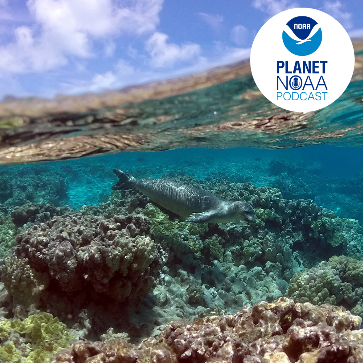 Planet NOAA Episode 3 thumbnail