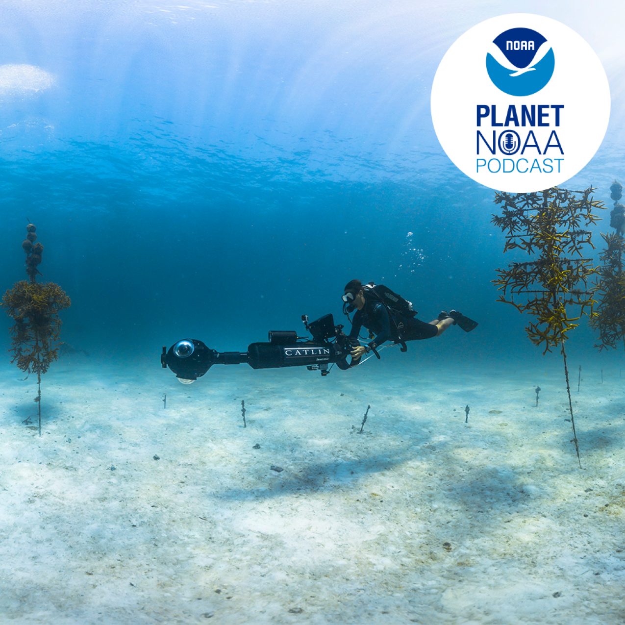 A NOAA diver collects 360-degree imagery for virtual reality displays of a coral nursery in  NOAA Florida Keys National Marine Sanctuary. 