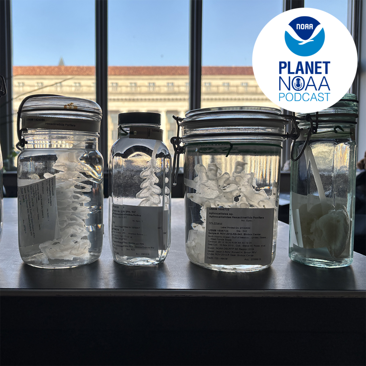 Marine specimens in jars. Credit: Allen Collins