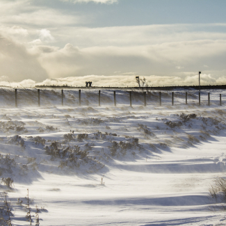A beautiful tornado churns up dust in the sunset light near Traer, IA on July 6th 2014.