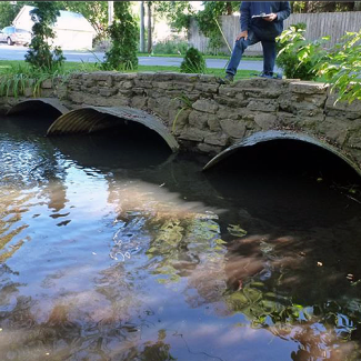 Murky water flows under a culvert.