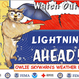 Owlie Skywarn: Lightning Ahead (pdf)
