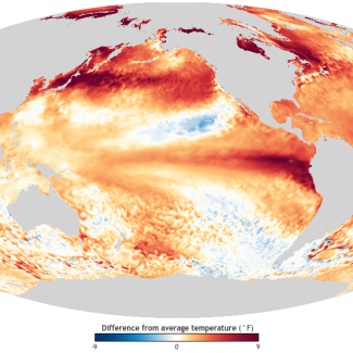 Global image centered on Pacific ocean of sea surface temperature anomalies for August 2023. Reds located almost everywhere across the global ocean indicate above-average sea surface temperatures.