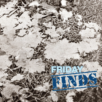 1936 black and white photo of a 22 inch diameter grouping of ice crystals on the ground.