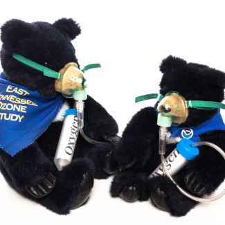These small black bears, which currently sit on a shelf at NOAA’s Atmospheric Turbulence and Diffusion Division in Oak Ridge, Tennessee, were used to remind people about the ecosystem impacts of air pollution in 2006. The bears wear gas masks and sport blue kerchiefs with NOAA logo pins around their necks.