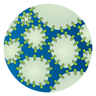 A zoomed in view of sea foam bubbles. Surfactant molecules along the edge of the bubbles are oriented with their hydrophobic heads pointed inwards and their hydrophilic tails pointed outwards to the water separating the bubbles.