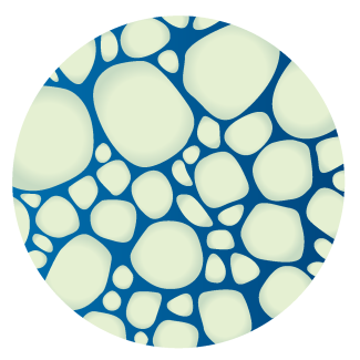 Sea foam bubbles encased in water.