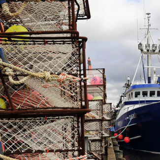 Crab and lobster pots and commercial vessel at dockside.