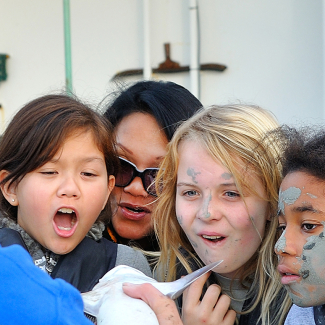 An adult holds up a small shark to three children and an adult whose expressions are a mix of awe, fascination, and curiosity. 