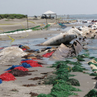 Pom-Pom cleanup following manual cleanup at Fourchon Beach, La.
