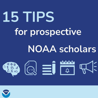 6 decorative icons arranged in a square