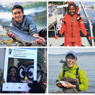 A grid of 8 photos. Each photo shows a Hollings scholar during their internship.