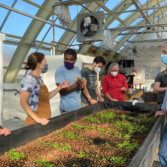 A group of teachers wearing masks stand around a raised garden bed that has small sprouts of vegetation.