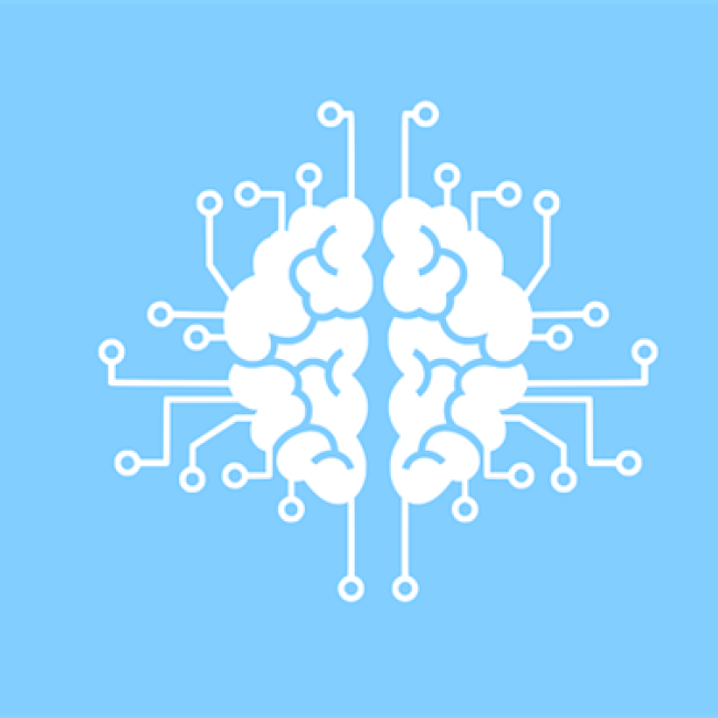 Brain neural network