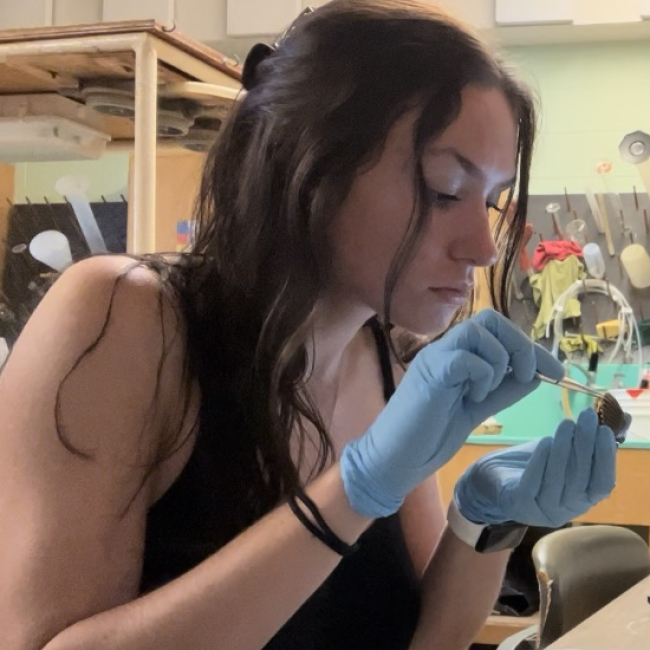Alison sits at a lab bench, holding a scallop in one gloved hand and examining it with a pair of forceps in the other.  A tray with weighing tins and a laptop with a data sheet open are on the lab bench.