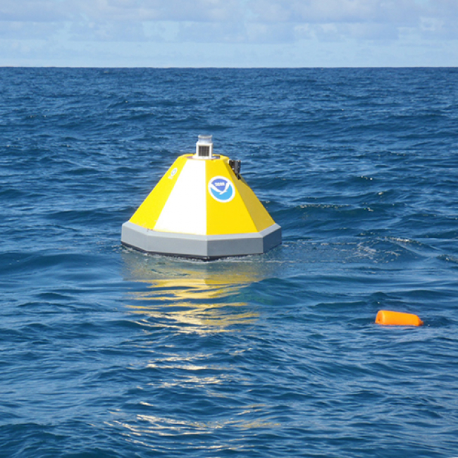 Buoy deployed outside Kaneohe Bay.