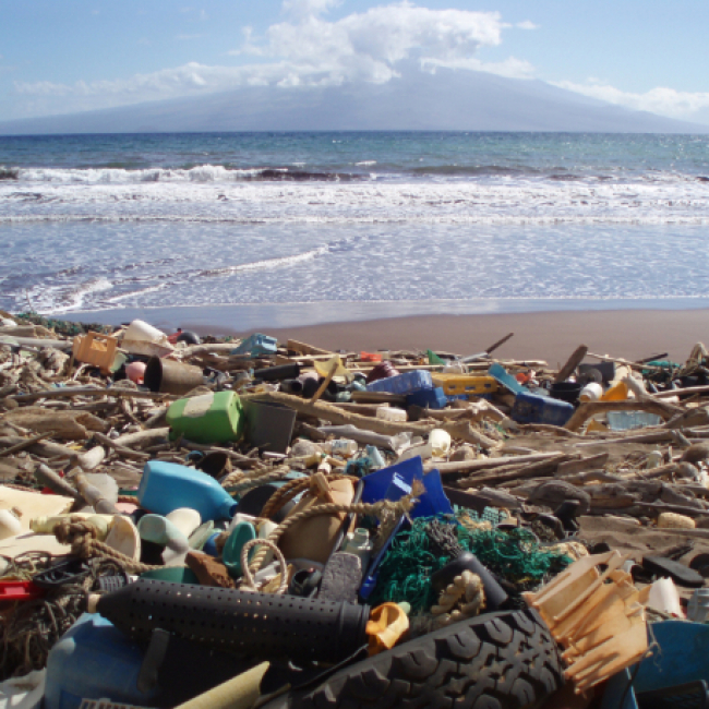 A beach that is almost completely covered in trash and debris.