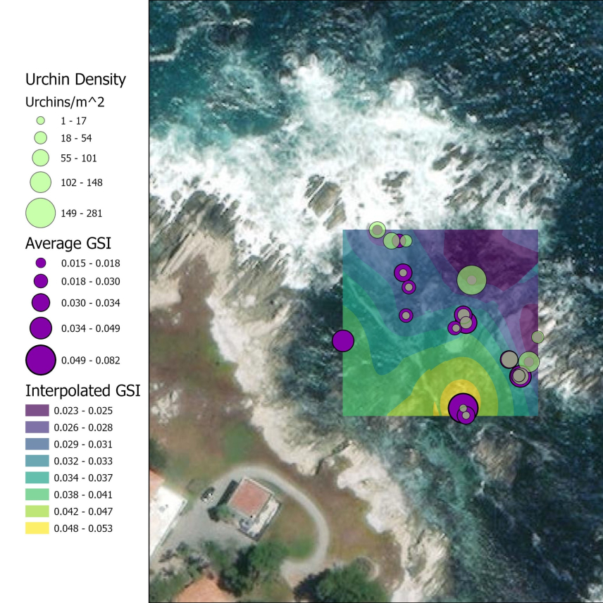 There are data points for approximately 20 quadrats shown. Most of the time, high urchin density is paired with low gonadosomatic index, while low urchin density is paired with high gonadosomatic index. However, four points show mid-level urchin density and gonadosomatic index.